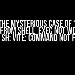 Solving the Mysterious Case of “NPM Run Build from shell_exec not working giving sh: vite: command not found”