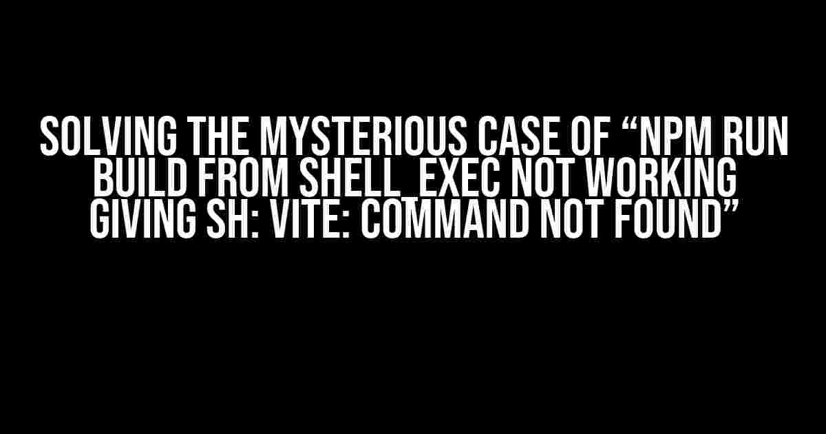 Solving the Mysterious Case of “NPM Run Build from shell_exec not working giving sh: vite: command not found”